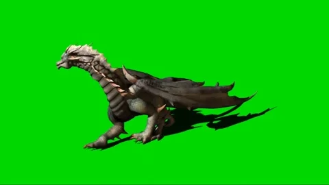 Dragon Walking on Green Screen 04 스톡 동영상 222492998