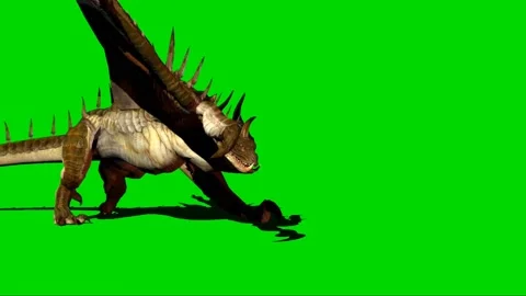 Dragon Walking on Green Screen 05 Stock Footage 222493070