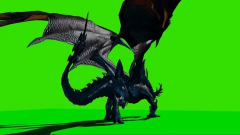 Dragon Walking on Green Screen 07 스톡 동영상 222493150