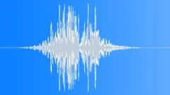 Dragon Wing Flap Big 06 Sound Effect