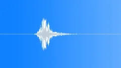 Dragon Wing Sound Effect