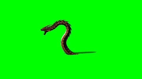 Dragon worm appears and disappears on green screen with shadow Vidéo 40700979