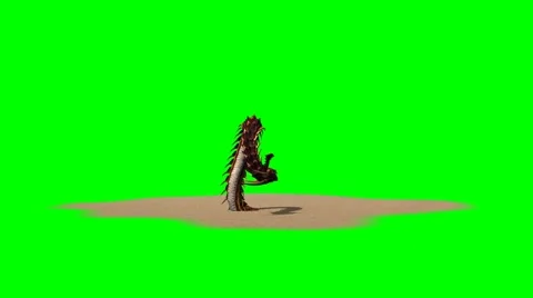 Dragon worm attack and dies on sand base - green screen Vidéo 40700776