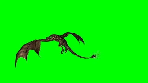Dragon - wyvern is flying - 3 different views on green screen Vidéo 42907982