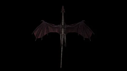 Dragon1 库存影片 343869884