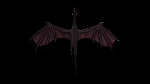 Dragon2 Video stock 343869887
