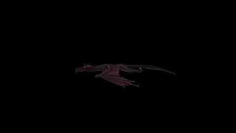 Dragon3 Video stock 343869903