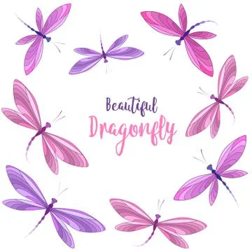 Dragonflies in flight Stock Illustration