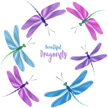 Dragonflies in flight Stock Illustration
