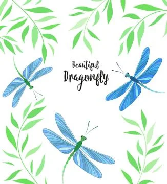 Dragonflies in flight Stock Illustration
