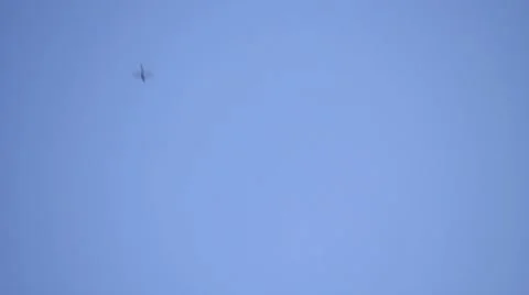 Dragonflies ms on blue Video stock 8877802