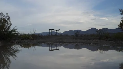 Dragonflies Picnic Spot Stock Footage 161129482