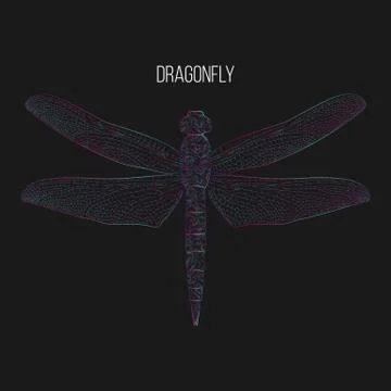 Dragonfly abstract vector illustration Stock Illustration