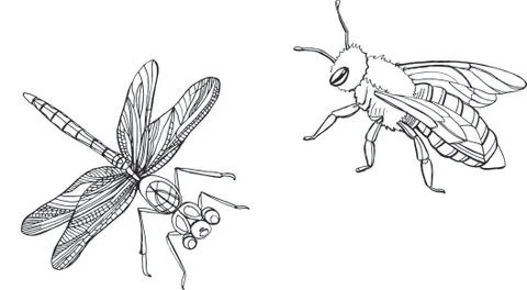 Dragonfly and bee vector black and white Stock Illustration