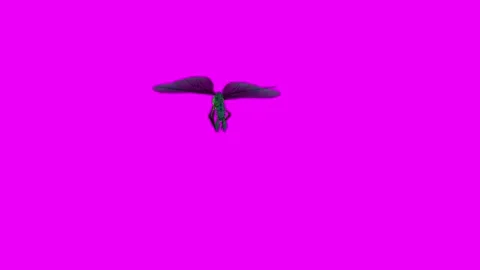 Dragonfly Attack Pink Screen Animation 4K Rendering Stock Footage 278137685