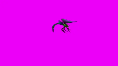 Dragonfly Attack Pink Screen Animation 4K Rendering 動画素材 278137688