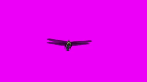 Dragonfly Bite Pink Screen Animation 4K Rendering Stock Footage 278137671