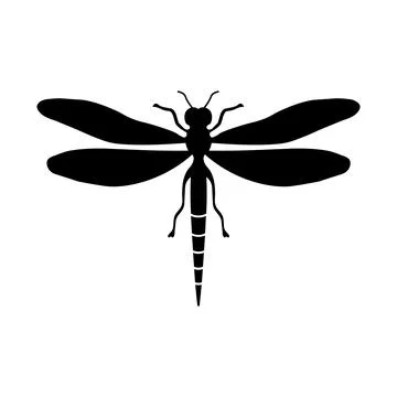 Dragonfly black vector icon on white background Stock Illustration