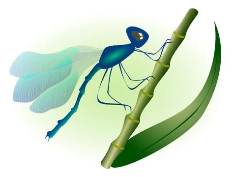 Dragonfly with blue wings. EPS10 vector illustration Stock Illustration