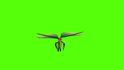 Dragonfly Claws Attack Green Screen Animation 4K Rendering Stockbeeldmateriaal 278137801