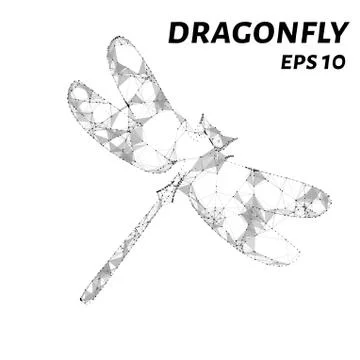 Dragonfly consists of points, lines and triangles. The polygon shape in the.. Stock Illustration