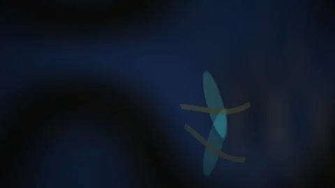 Dragonfly in dark blue environment. Stock Footage 335108232