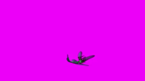 Dragonfly Death Pink Screen Animation 4K Rendering Stock-Footage 281393548