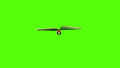 Dragonfly fast moving Green Screen Animation 4K Rendering 스톡 동영상 278137714