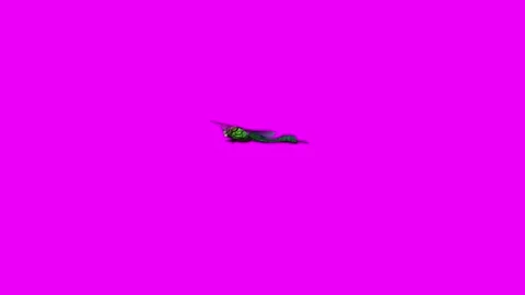 Dragonfly Flapping Wings Pink Screen Animation 4K Rendering Stock Footage 281393614