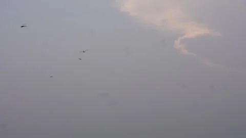 Dragonfly in Flight Stock Footage 332612876