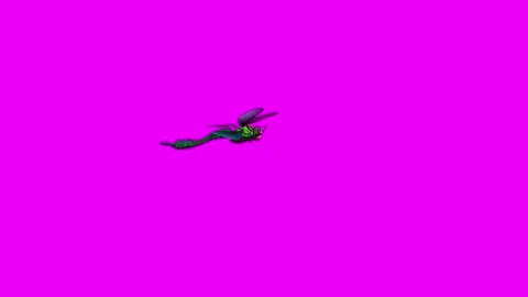 Dragonfly Flight Pink Screen Animation 4K Rendering Stock Footage 281393644