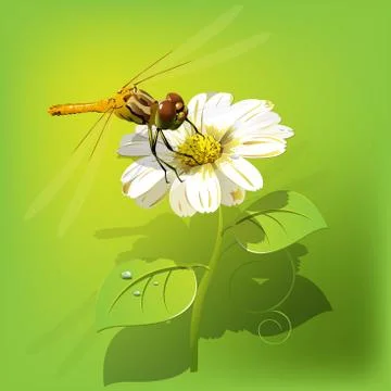 Dragonfly on flower Stock Illustration