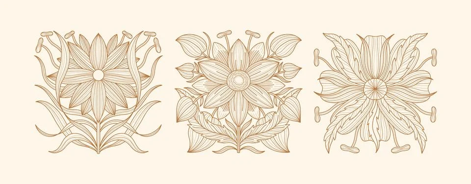 Dragonfly flower Stock Illustration