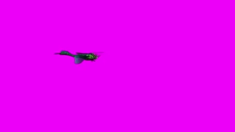 Dragonfly Flying Around Pink Screen Animation 4K Rendering Vídeo Stock 281393689