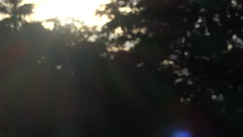 Dragonfly flying in the cold light Stock Footage 190839679