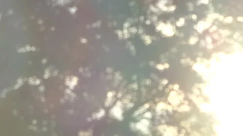 Dragonfly flying in the cold light Stock Footage 190840002