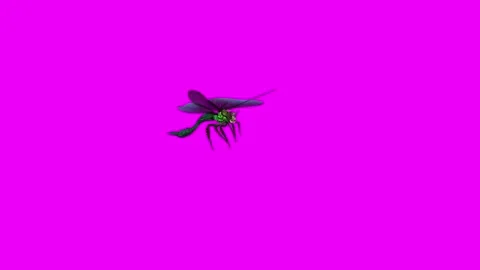 Dragonfly Flying Forward Pink Screen Animation 4K Rendering Stock Footage 281393690
