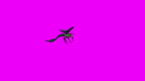 Dragonfly Flying Forward Pink Screen Animation 4K Rendering 库存影片 281393700