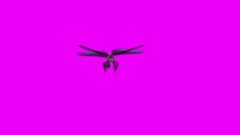 Dragonfly Flying Forward Pink Screen Animation 4K Rendering Vídeo Stock 281393709
