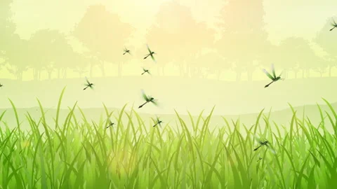 Dragonfly is flying in the grass field. Background Cartoon Dragonfly Flying Vidéo 236741375