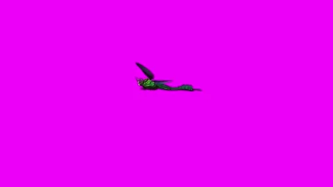 Dragonfly Flying Pink Screen Animation 4K Rendering Stock Footage 281393666
