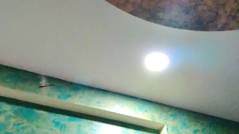 Dragonfly Stock Footage 118778240