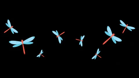 Dragonfly Stock Footage 128626940