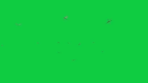 Dragonfly FX Pack – 5 Green Screen Animations – Flying Insects VFX Elements Stock Footage 312072875