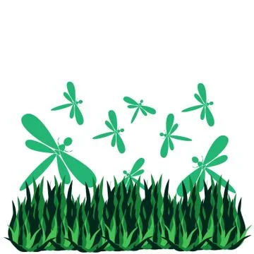 Dragonfly with grass isolated on white background Stock Illustration