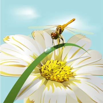 Dragonfly on herb Stock Illustration
