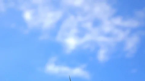 Dragonfly herd flying slow motion beautiful  herd and sky blue Stock Footage 82723701