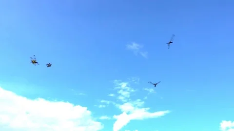 Dragonfly herd flying slow motion beautiful  herd and sky blue Stock Footage 82736309