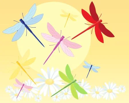 Dragonfly Stock Illustration
