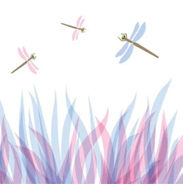 Dragonfly Stock Illustration